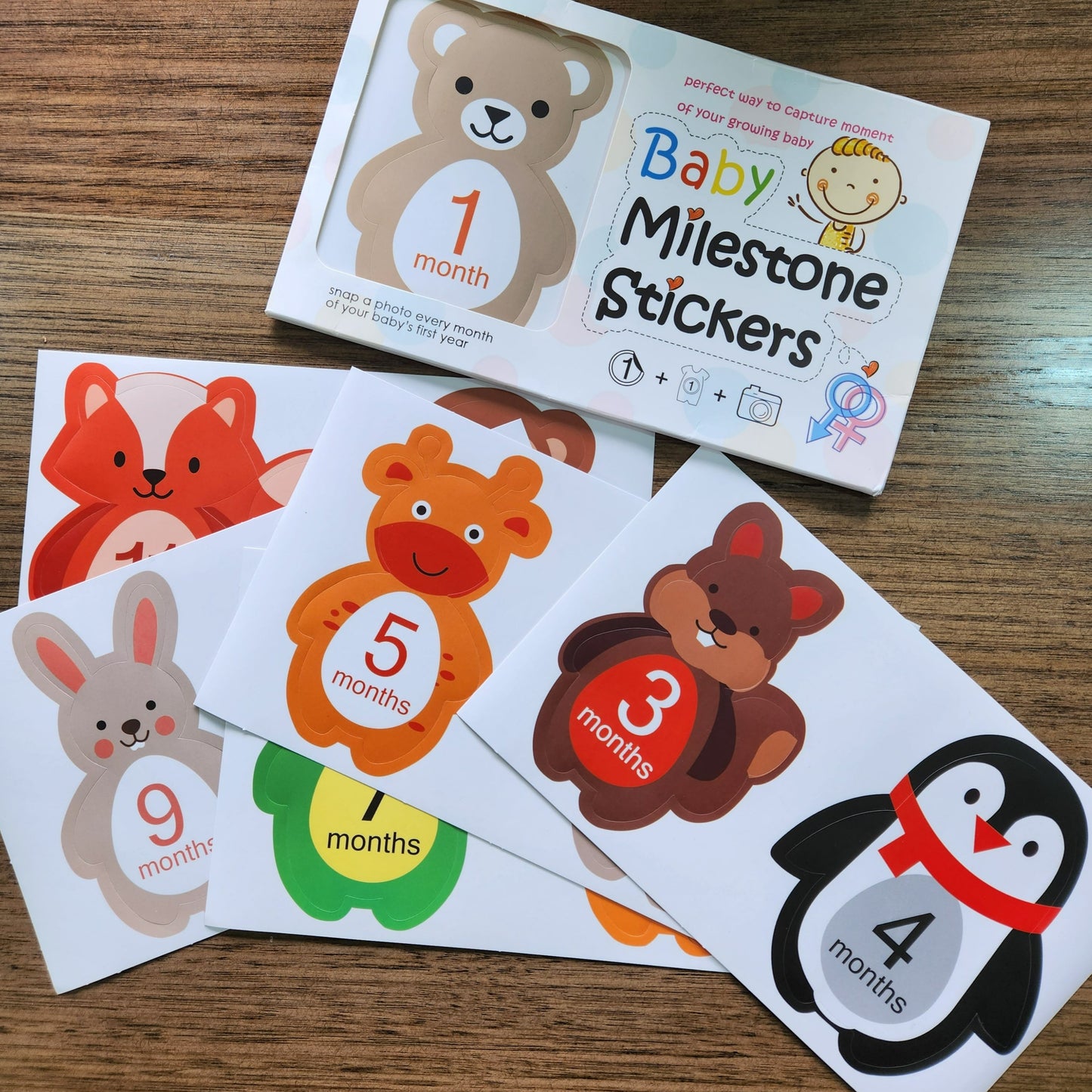 12 month Milestone photography stickers